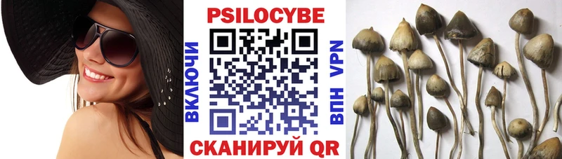 Галлюциногенные грибы прущие грибы  сайты даркнета Telegram  Асино 
