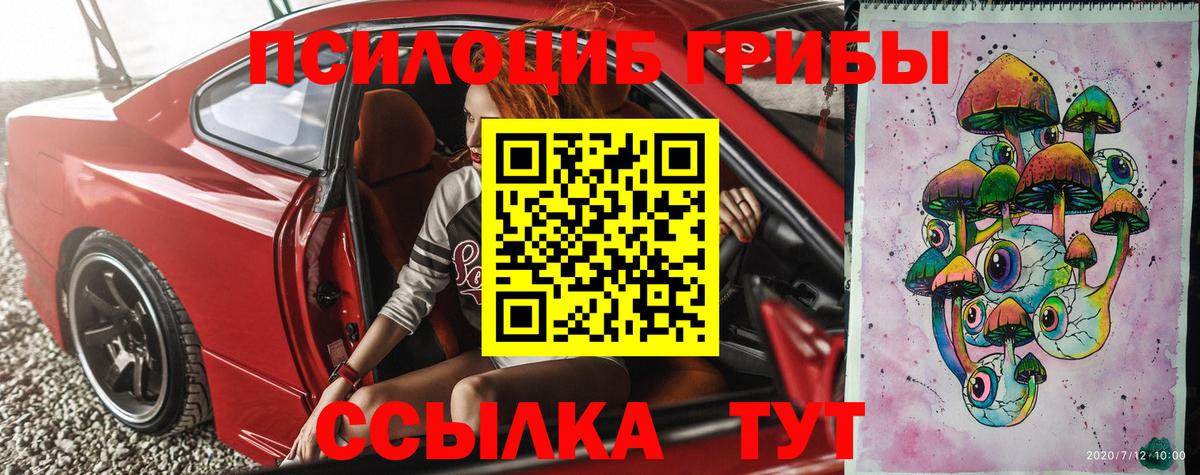 Псилоцибиновые грибы Cubensis Асино