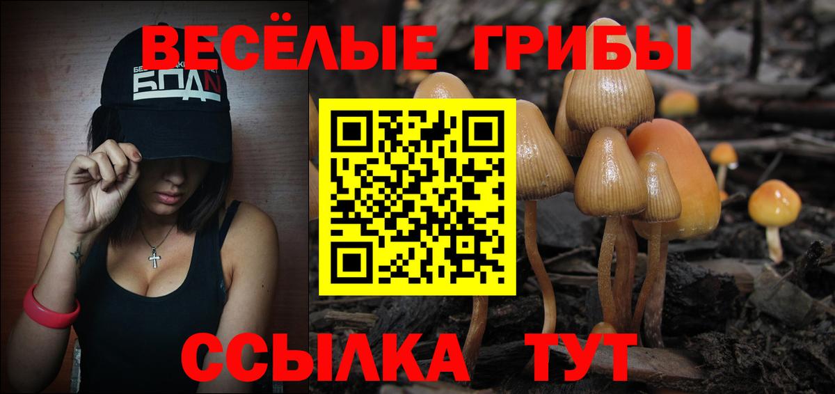Галлюциногенные грибы GOLDEN TEACHER  Вход с VPN  Асино 